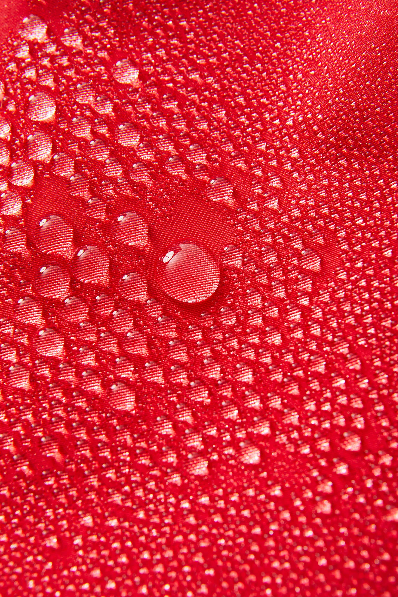 WATERMAN TRUNK - Image 20